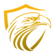cropped-DSS-logo_Gold.png